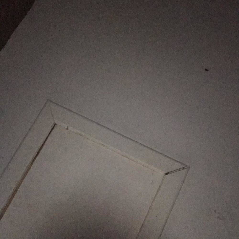 Meet your Posher, Cody